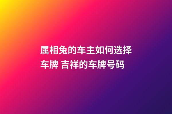 属相兔的车主如何选择车牌 吉祥的车牌号码